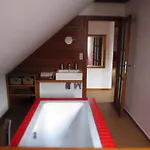 Holubnik Statecnych Zen Kralovych