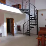 Holubnik Statecnych Zen Kralovych