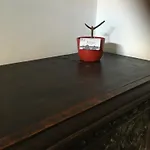Holubnik Statecnych Zen Kralovych *