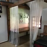 Holubnik Statecnych Zen Kralovych * Luže