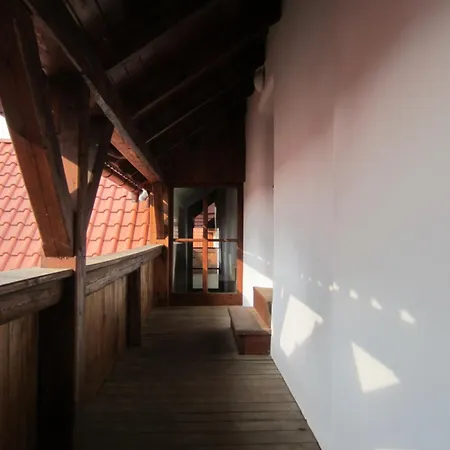 Holubnik Statecnych Zen Kralovych Luže