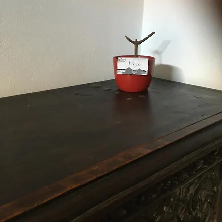 Holubnik Statecnych Zen Kralovych *