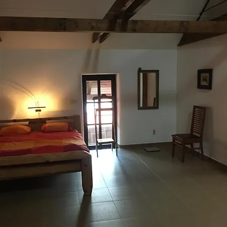 Holubnik Statecnych Zen Kralovych Luže