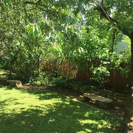 Holubnik Statecnych Zen Kralovych *