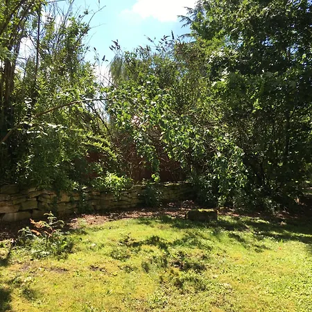 Holubnik Statecnych Zen Kralovych * Luže