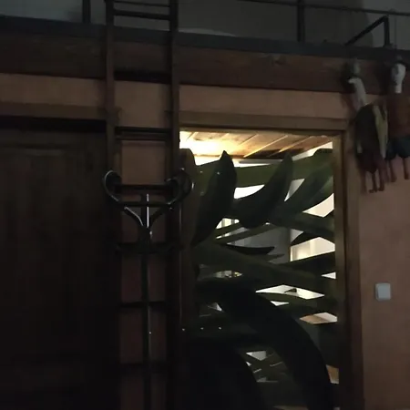 Holubnik Statecnych Zen Kralovych *