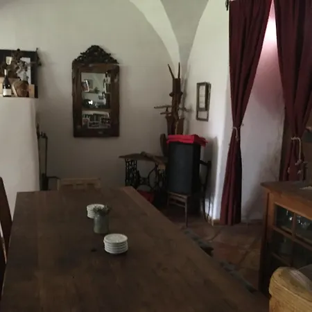 Holubnik Statecnych Zen Kralovych Luže