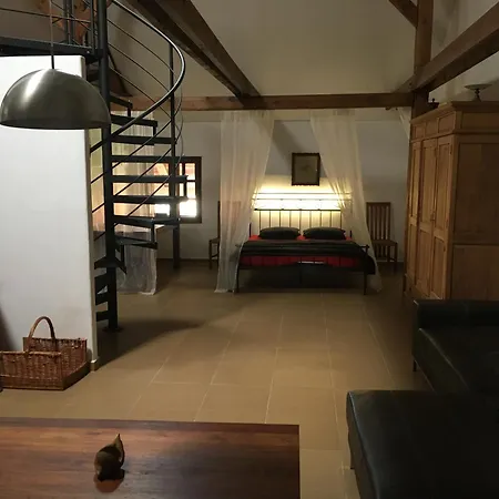 Holubnik Statecnych Zen Kralovych Luže