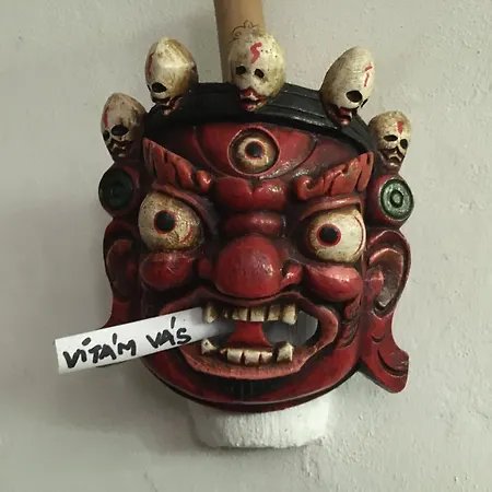 Holubnik Statecnych Zen Kralovych Διαμέρισμα *