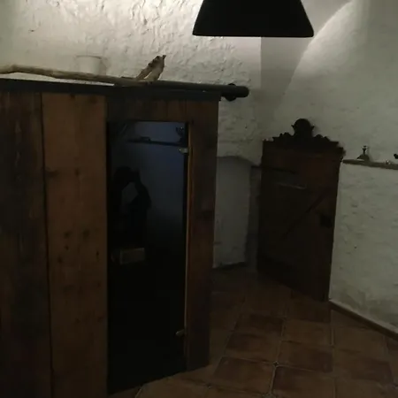 Holubnik Statecnych Zen Kralovych * Luže