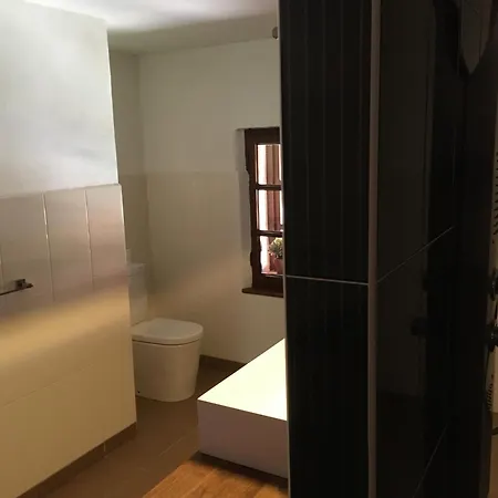 Holubnik Statecnych Zen Kralovych