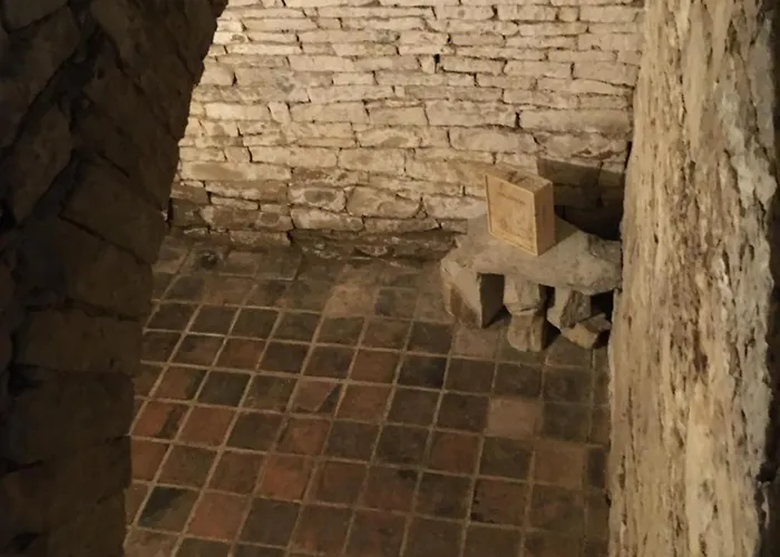 Holubnik Statecnych Zen Kralovych Daire *