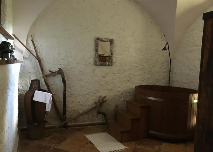 Holubnik Statecnych Zen Kralovych Daire *