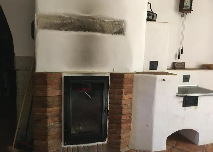 Holubnik Statecnych Zen Kralovych Luže